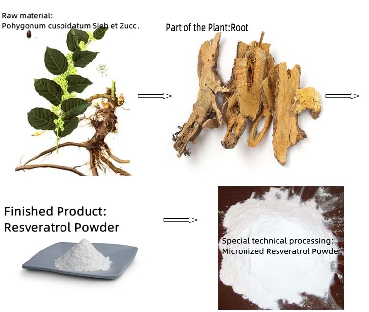 Micronized Resveratrol Powder