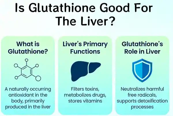 Is Glutathione Good For The Liver Is Glutathione Good For The Liver